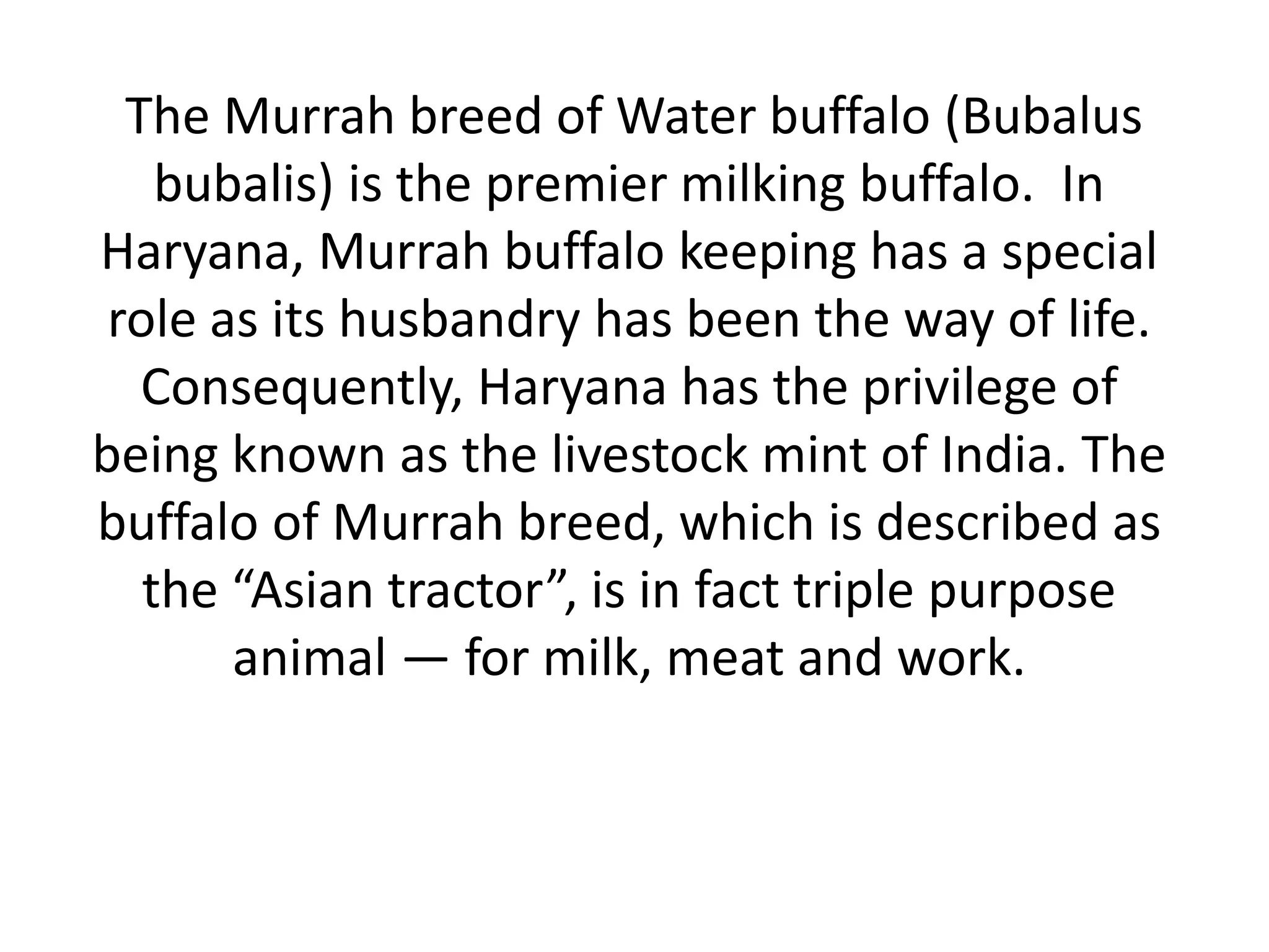Buffalo breeds | PPT
