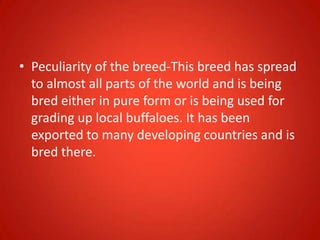 • Peculiarity of the breed-This breed has spread
to almost all parts of the world and is being
bred either in pure form or is being used for
grading up local buffaloes. It has been
exported to many developing countries and is
bred there.
 