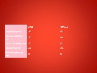 MALE FEMALE
Height(Avg cm) 142 133
Body Length(Avg
cm)
150 148
Heart Girth(Avg cm) 220 202
Weight(Avg Kg) 567 516
Birth Weight(Avg
Kg)
32 30
 