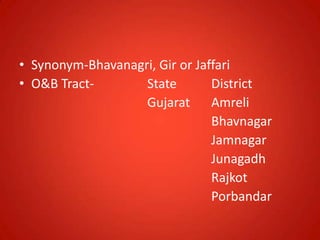 • Synonym-Bhavanagri, Gir or Jaffari
• O&B Tract- State District
Gujarat Amreli
Bhavnagar
Jamnagar
Junagadh
Rajkot
Porbandar
 