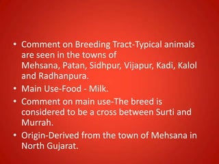 • Comment on Breeding Tract-Typical animals
are seen in the towns of
Mehsana, Patan, Sidhpur, Vijapur, Kadi, Kalol
and Radhanpura.
• Main Use-Food - Milk.
• Comment on main use-The breed is
considered to be a cross between Surti and
Murrah.
• Origin-Derived from the town of Mehsana in
North Gujarat.
 