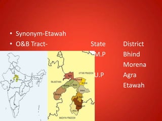 • Synonym-Etawah
• O&B Tract- State District
M.P Bhind
Morena
U.P Agra
Etawah
 
