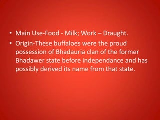• Main Use-Food - Milk; Work – Draught.
• Origin-These buffaloes were the proud
possession of Bhadauria clan of the former
Bhadawer state before independance and has
possibly derived its name from that state.
 
