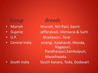 Group Breeds
• Murrah Murrah, Nili-Ravi, banni
• Gujarat Jaffarabadi, Mehsana & Surti
• U.P. Bhadawari, Tarai
• Central India Jerangi, Kalahandi, Manda,
Nagapuri,
Pandharpuri,Sambalpuri,
Marathwada.
• South India South Kanara, Toda, Godavari
 