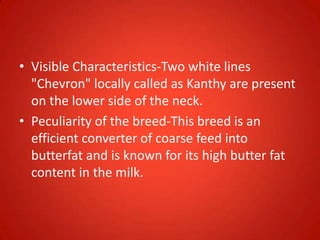• Visible Characteristics-Two white lines
"Chevron" locally called as Kanthy are present
on the lower side of the neck.
• Peculiarity of the breed-This breed is an
efficient converter of coarse feed into
butterfat and is known for its high butter fat
content in the milk.
 