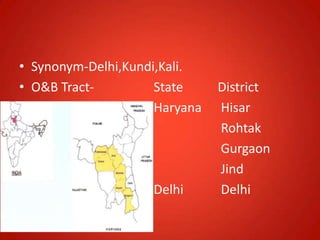 • Synonym-Delhi,Kundi,Kali.
• O&B Tract- State District
Haryana Hisar
Rohtak
Gurgaon
Jind
Delhi Delhi
 