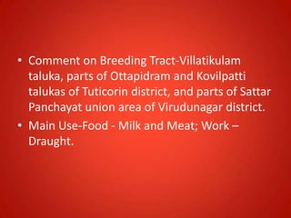 • Comment on Breeding Tract-Villatikulam
taluka, parts of Ottapidram and Kovilpatti
talukas of Tuticorin district, and parts of Sattar
Panchayat union area of Virudunagar district.
• Main Use-Food - Milk and Meat; Work –
Draught.
 