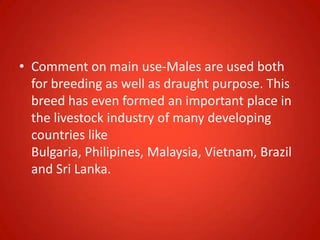• Comment on main use-Males are used both
for breeding as well as draught purpose. This
breed has even formed an important place in
the livestock industry of many developing
countries like
Bulgaria, Philipines, Malaysia, Vietnam, Brazil
and Sri Lanka.
 