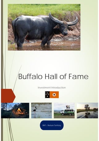 Buffalo Hall of Fame
Investment Introduction
BHF – Nature Territory
 