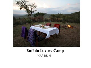 Buffalo Luxury Camp
     KARIBUNI!
 