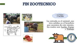 La entrada es el animal, sus
tres salidas es el beneficio
que sacamos de este mismo,
los cuales son: Leche, Carne
y Trabajo
 