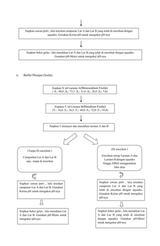 ii. Buffer Phospat (fosfat)
Siapkan cawan petri , lalu teteskan campuran Lar A dan Lar B yang telah di encerkan dengan
aquades. Gunakan Kertas pH untuk mengukur pH-nya
Siapkan beker gelas , lalu masukkan Lar A dan Lar B yang telah di encerkan dengan aquades.
Gunakan pH-Meter untuk mengukur pH-nya
Siapkan X ml Larutan A(Monosodium Fosfat)
( X1: 90,0 ;X2: 73,5 ;X3: 51,0 ;X4: 28,0 ;X5: 7,0)
Siapkan Y ml Larutan B(Disodium Fosfat)
(Y1: 10,0 ;Y2: 26,5 ;Y3: 49,0 ;Y4: 72,0 ;Y5: 93,0)
Siapkan 5 elemeyer dan masukkan larutan A dan B
(Tanpa Di encerkan )
Campurkan Lar A dan Lar B
saja , tanpa di encerkan
(Di encerkan )
Encerkan setiap Larutan A dan
Larutan B dengan aquades
hingga 200ml menggunakan
labu ukur
Siapkan cawan petri , lalu teteskan
campuran Lar A dan Lar B yang
telah di encerkan dengan aquades.
Gunakan Kertas pH untuk mengukur
pH-nya
Siapkan beker gelas , lalu masukkan Lar
A dan Lar B yang telah di encerkan
dengan aquades. Gunakan pH-Meter
untuk mengukur pH-nya
Siapkan cawan petri , lalu teteskan
campuran Lar A dan Lar B. Gunakan
Kertas pH untuk mengukur pH-nya
Siapkan beker gelas , lalu masukkan Lar
A dan Lar B. Gunakan pH-Meter untuk
mengukur pH-nya
 