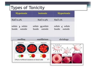 Buffered isotonic solutions