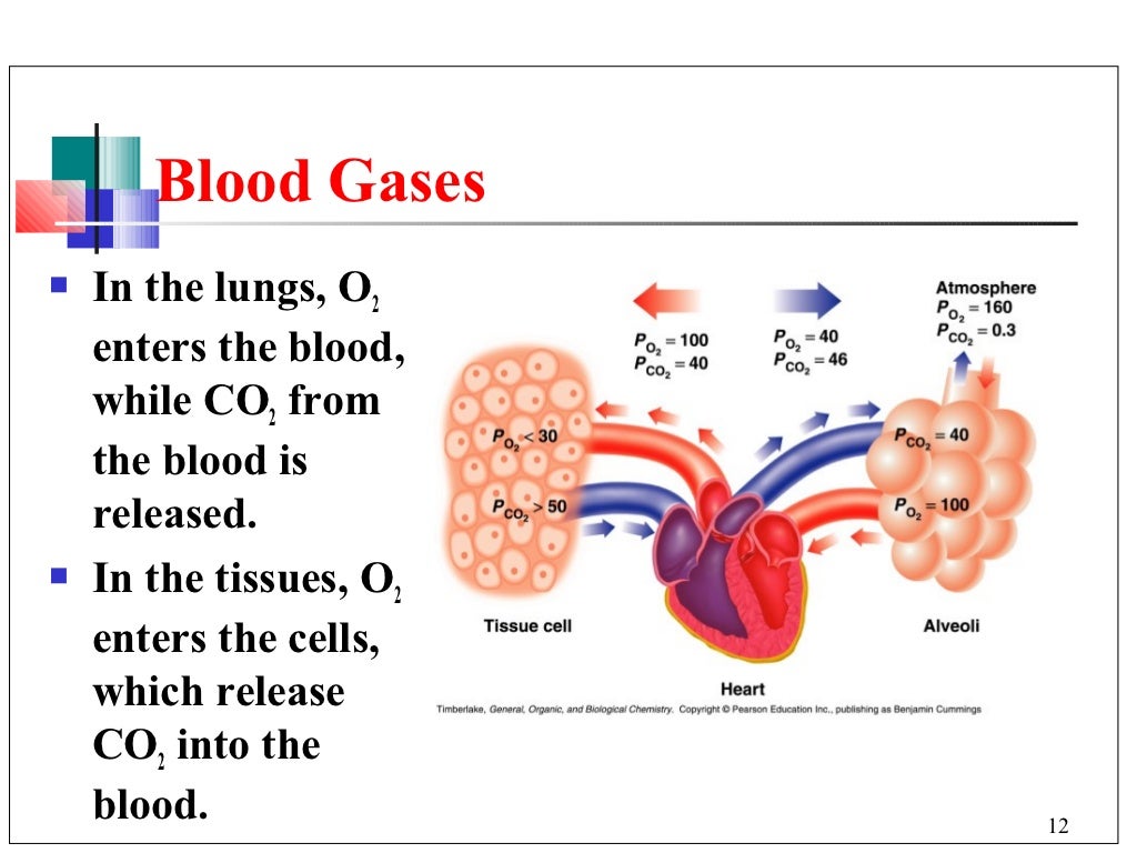 Buffer in the blood