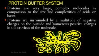 PROTEIN BUFFER SYSTEM
 Proteins are very large, complex molecules in
comparison to the size and complexities of acids or
bases
 Proteins are surrounded by a multitude of negative
charges on the outside and numerous positive charges
in the crevices of the molecule
-
-
-
- - - -
-
-
-
-
-
----------
---
-
-
-
-
- - - -
+
+++
+
+
+
+
++
+
+
+
++ +
+
+
+
+
+
+
+ +
+
Md. Imran Nur Manik
 