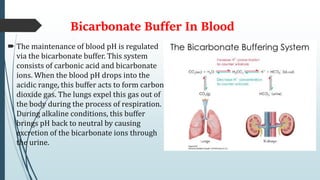 Bicarbonate Buffer In Blood
 The maintenance of blood pH is regulated
via the bicarbonate buffer. This system
consists of carbonic acid and bicarbonate
ions. When the blood pH drops into the
acidic range, this buffer acts to form carbon
dioxide gas. The lungs expel this gas out of
the body during the process of respiration.
During alkaline conditions, this buffer
brings pH back to neutral by causing
excretion of the bicarbonate ions through
the urine.
 