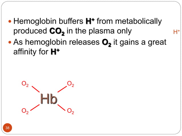 Buffers in the body | PPTX | Lung and Respiratory Health | Diseases and ...
