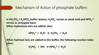 Mechanism of Action of phosphate buffers:
In KH2PO4 / K2HPO4 buffer system, H2PO4
- serves as weak acid and HPO4
-2
serves as conjugate base.
When hydronium ions are added, then
HPO4
-2 + H3O+ → H2PO4
- + H2O
When hydroxyl ions are added to this buffer, the following reaction takes
place;
H2PO4
- + OH- → HPO4
-2 + H2O
 