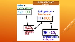BICACARBONATE
BUFFER
 