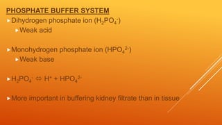 PHOSPHATE BUFFER SYSTEM
Dihydrogen phosphate ion (H2PO4
-)
Weak acid
Monohydrogen phosphate ion (HPO4
2-)
Weak base
H2PO4
-  H+ + HPO4
2-
More important in buffering kidney filtrate than in tissue
 