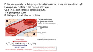 Protein Buffer Example Understanding Buffers: Their Role and Function in Biological Systems | PPTX