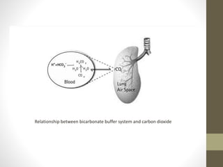 Relationship between bicarbonate buffer system and carbon dioxide
 