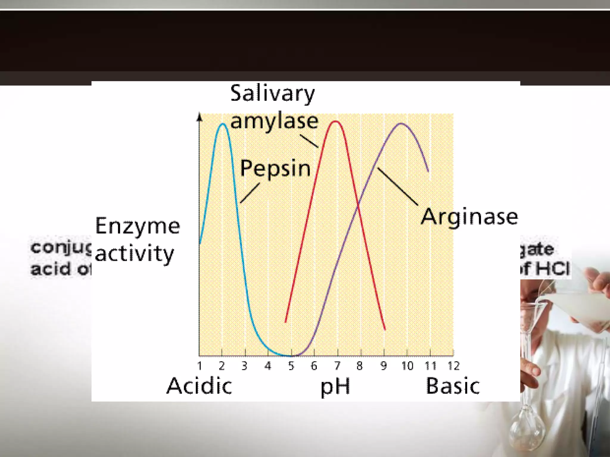 • A buffer works best in the middle of its range, where the amount of
undissociated acid is about equal to the amount of the conjugate
base.
• Commonly used in biological systems.
• Enzyme-catalyzed reactions depend on pH.
 