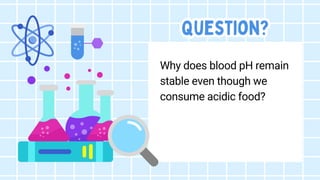 Question?
Question?
Question?
Why does blood pH remain
stable even though we
consume acidic food?
 