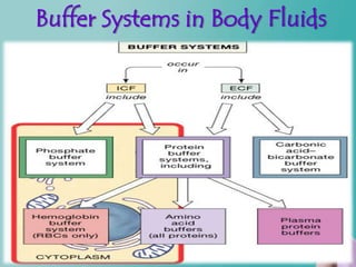 Buffer Systems in Body Fluids




                           Figure 27.7
 