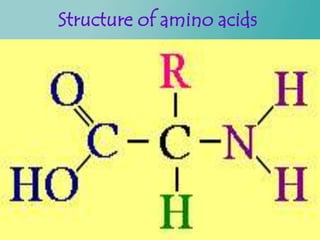 Structure of amino acids
 