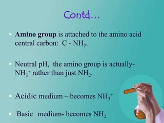 Contd…
 Amino group is attached to the amino acid
  central carbon: C - NH2.

 Neutral pH, the amino group is actually-
  NH3+ rather than just NH2.


 Acidic medium – becomes NH3+

 Basic medium- becomes NH2
 