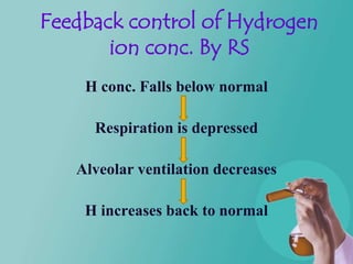 Feedback control of Hydrogen
       ion conc. By RS
    H conc. Falls below normal

     Respiration is depressed

   Alveolar ventilation decreases

    H increases back to normal
 
