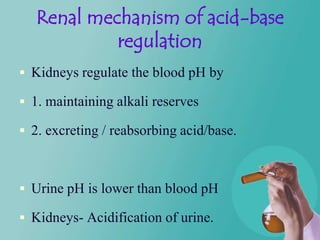 Renal mechanism of acid-base
            regulation
 Kidneys regulate the blood pH by

 1. maintaining alkali reserves

 2. excreting / reabsorbing acid/base.



 Urine pH is lower than blood pH

 Kidneys- Acidification of urine.
 