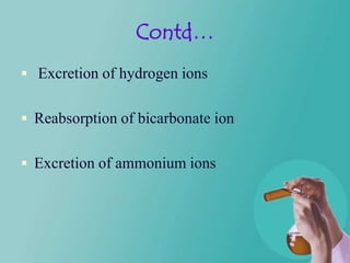 Contd…
 Excretion of hydrogen ions


 Reabsorption of bicarbonate ion


 Excretion of ammonium ions
 