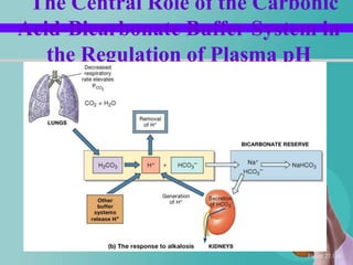 The Central Role of the Carbonic
Acid-Bicarbonate Buffer System in
   the Regulation of Plasma pH




                             Figure 27.11b
 
