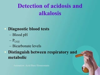 Detection of acidosis and
               alkalosis

 Diagnostic blood tests
  – Blood pH
  – PCO2
  – Bicarbonate levels
 Distinguish between respiratory and
  metabolic
    Animation: Acid-Base Homeostasis
 