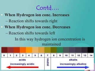 Contd….
 When Hydrogen ion conc. Increases
  – Reaction shifts towards right
 When Hydrogen ion conc. Decreases
  – Reaction shifts towards left
       In this way hydrogen ion concentration is
                       maintained
 