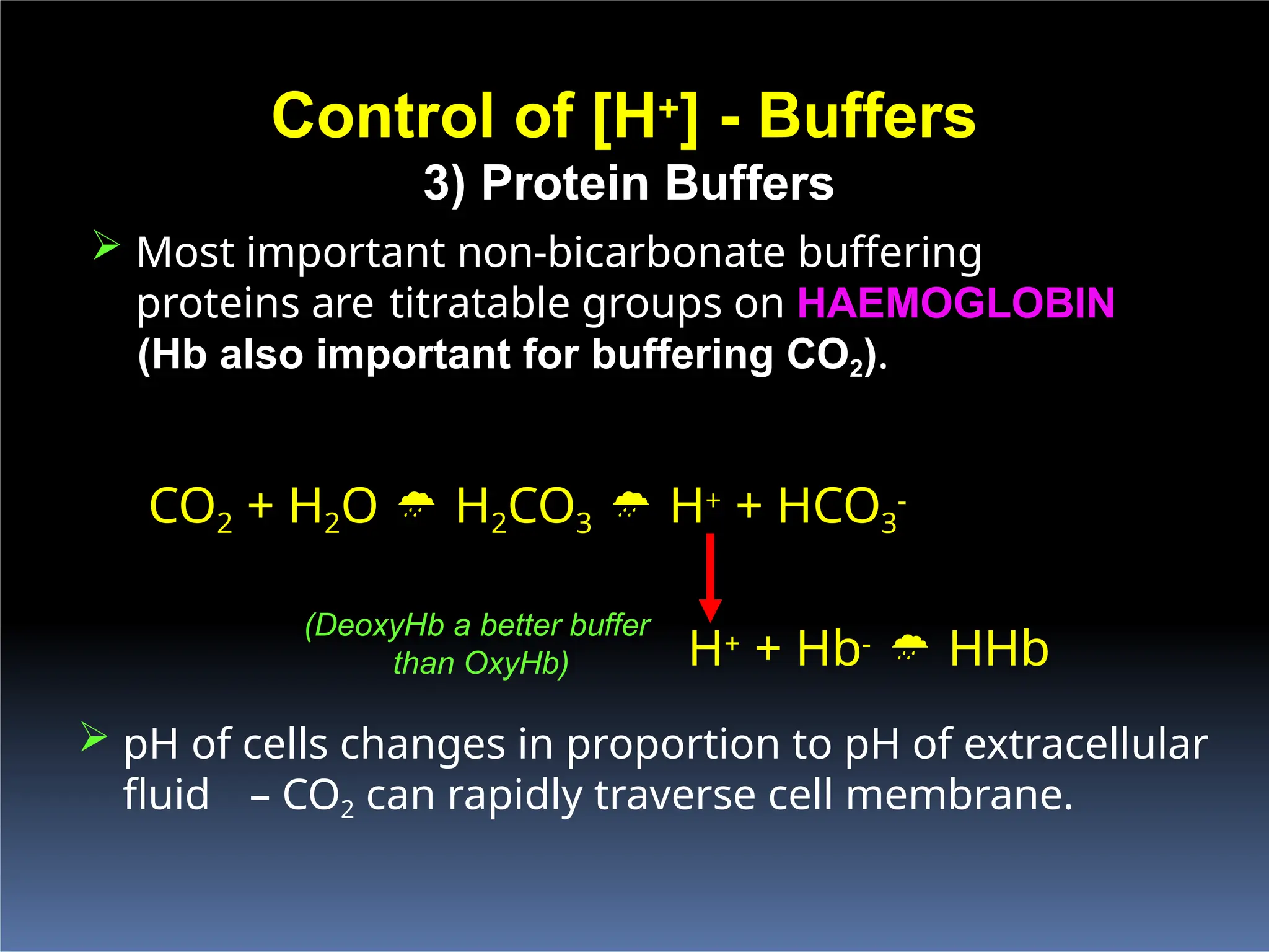 Buffer Systems definition, mechanism of action and importance in ...