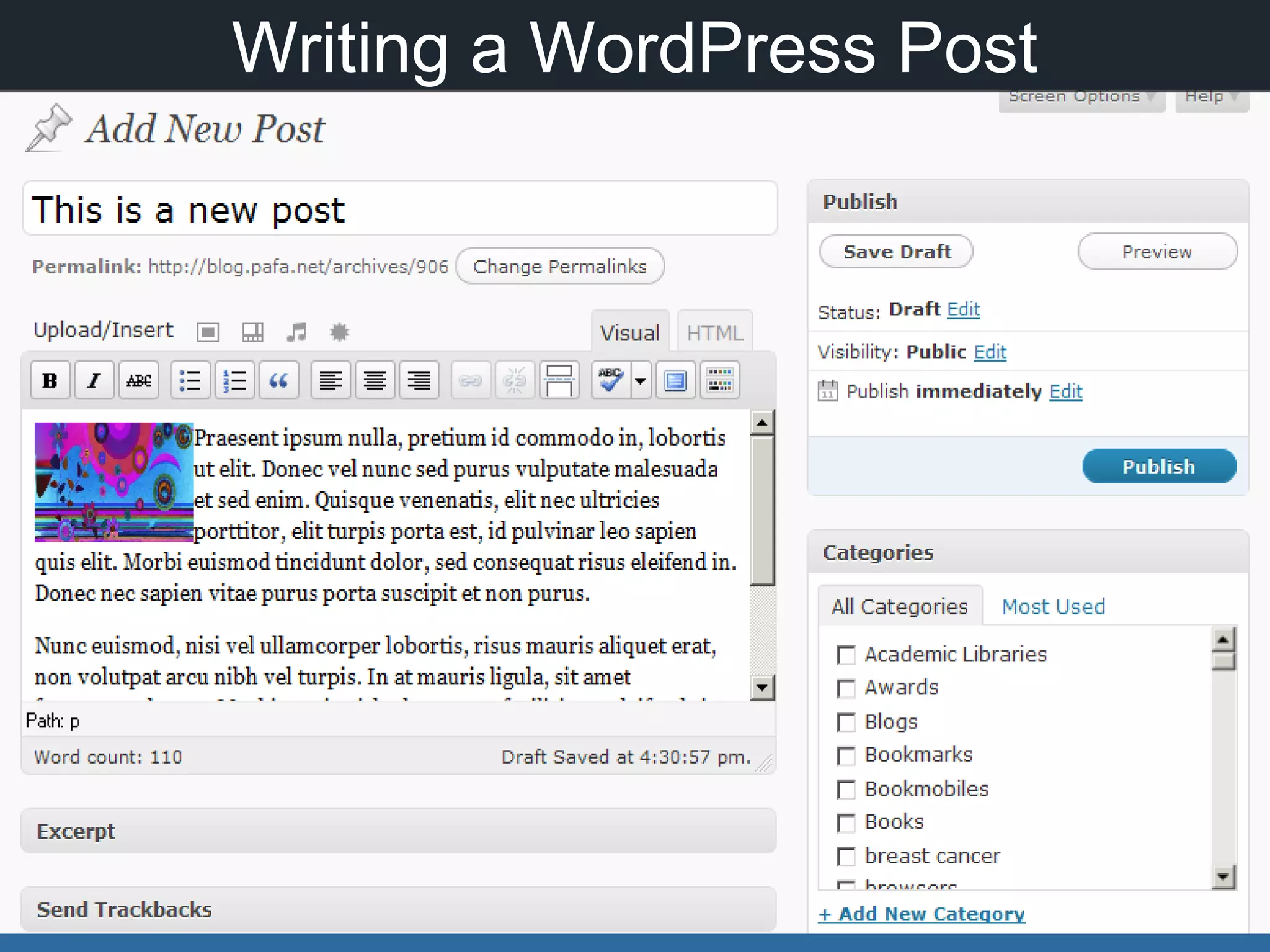 Writing a WordPress Post
 