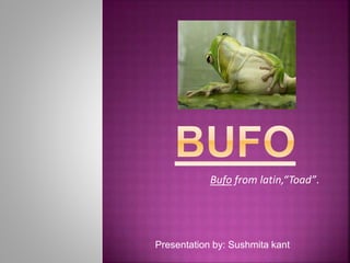 Bufo from latin,“Toad”.
Presentation by: Sushmita kant
 