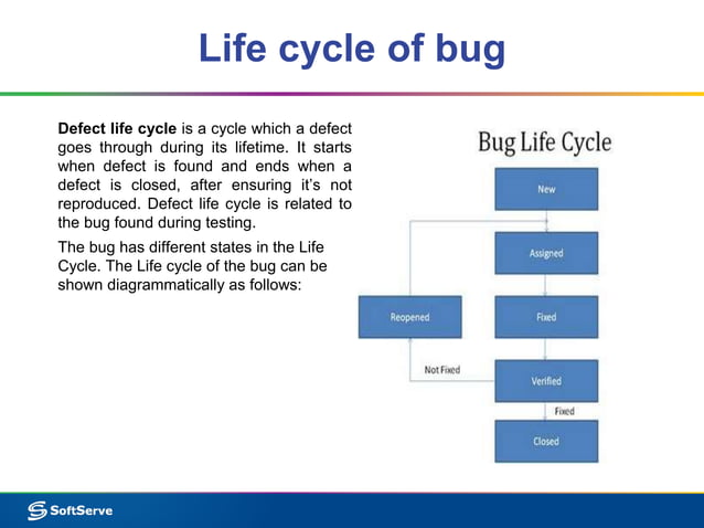 Bug reporting and tracking | PPTX