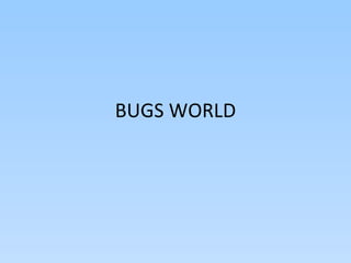 BUGS WORLD