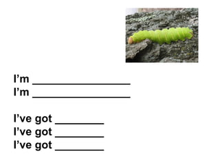 I’m ________________ I’m ________________ I’ve got ________ I’ve got ________ I’ve got ________