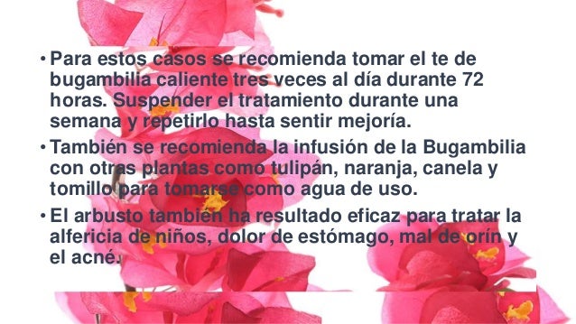 Bugambilias Bugambilias