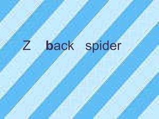 Z  b ack  spider 