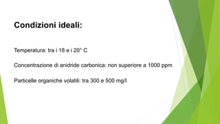 Temperatura: tra i 18 e i 20° C
Concentrazione di anidride carbonica: non superiore a 1000 ppm
Particelle organiche volatili: tra 300 e 500 mg/l
Condizioni ideali:
 