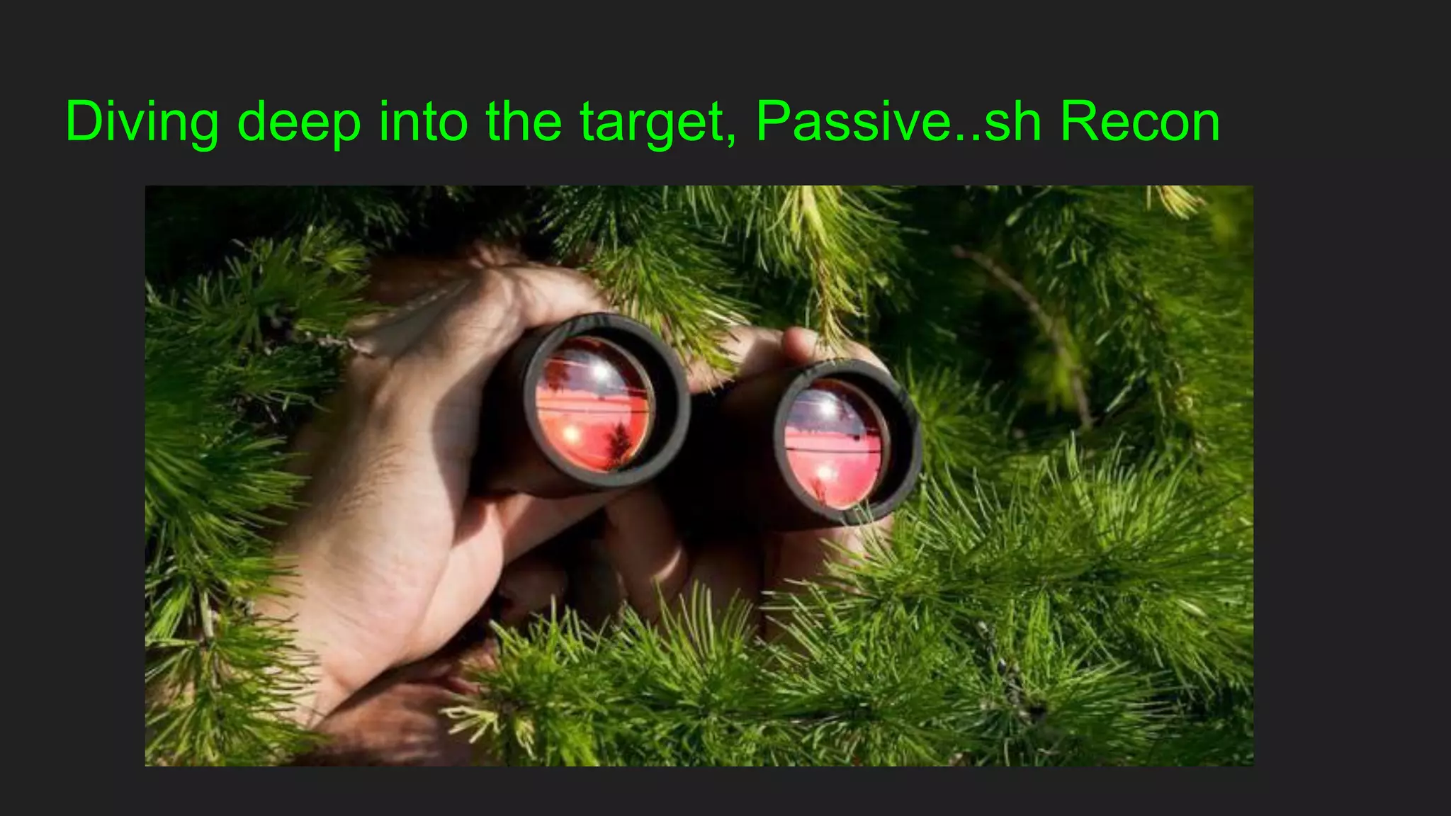 Diving deep into the target, Passive..sh Recon
 