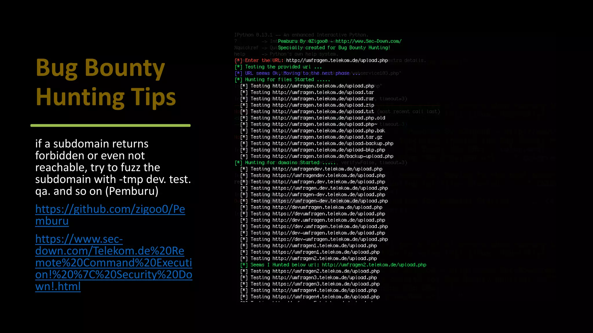 BugBounty Tips.pdf