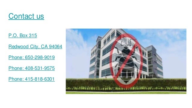 San Francisco Bed Bugs Exterminator San Francisco Bed Bugs Exterminator