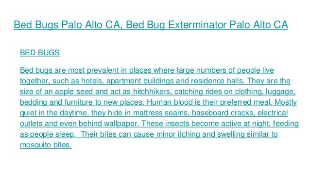 Bed Bug Exterminator San Francisco Bed Bug Exterminator San Francisco